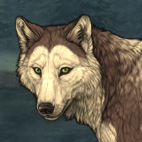 Wolf Headshot