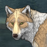 Wolf Headshot