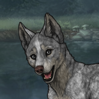 Tannil's howl Headshot