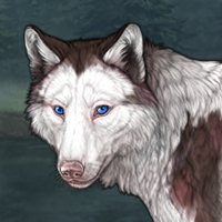 Piebald: Frontal Headshot