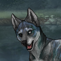 Enclave Pup Headshot