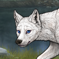 Frost's ARGENT MERLE Headshot