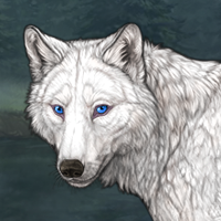 Frost's ARGENT MERLE rnc Headshot