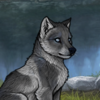 Pewter T2 G3 M 772 Husky Headshot