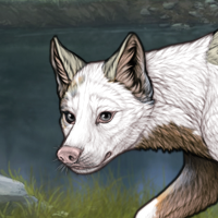 Pippin Headshot
