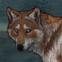 Novus Wolf Boy Headshot