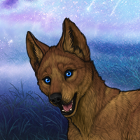 Marcus Headshot