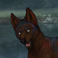 ((Pup))Sell Headshot