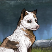 Piebald: Uneven Headshot