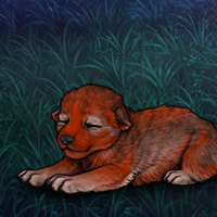 New Runt Puppy Headshot