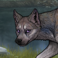 Male Moonlight Headshot