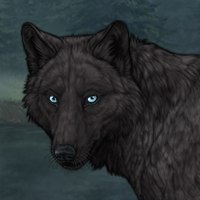 Dark Merle A103 Sp97 Headshot