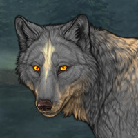 Wolf Headshot