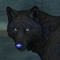 New wolf Headshot