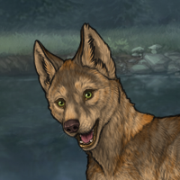 Aleu Headshot