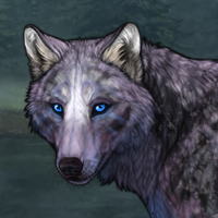 Galaxy Headshot