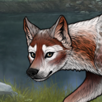 Breed Headshot