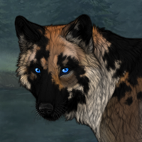 Wyll Headshot