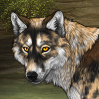 Wolf Headshot