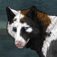 piebald Headshot