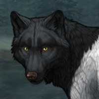 Wolf Headshot