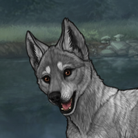 Gray Lighter Puppy Headshot