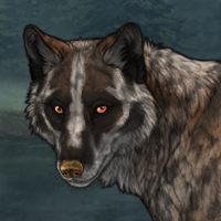 Badger Merle Headshot