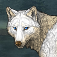 Wolf Headshot
