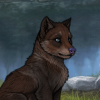 Willow Headshot