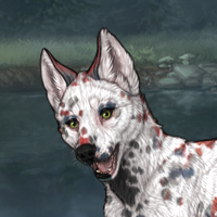 Dalmatian Headshot