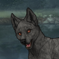 droka Headshot