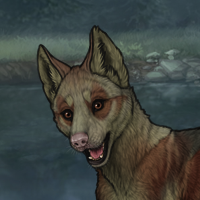 Enclave Puppy Headshot