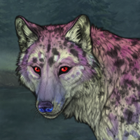 Dragonfruit Winterwolf Headshot