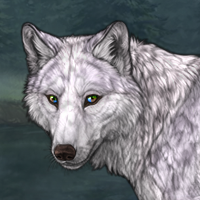 Lavender 2 Headshot