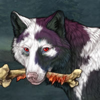 piebald f Headshot