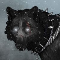 Wolf Headshot