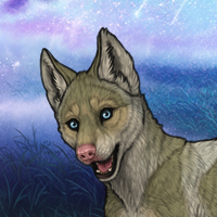 Kelpie Headshot