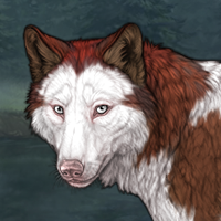 Russet frontal Headshot