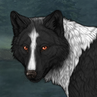 Wolf Headshot