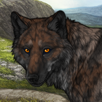 Wolf Headshot