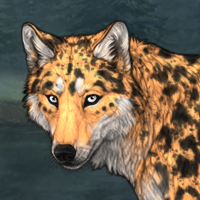 Cheetarah Headshot