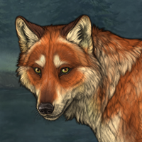 Foxtale Headshot