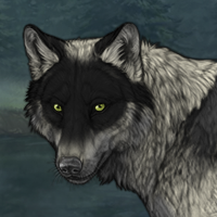 Wolf Headshot