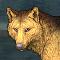 Winterheart Headshot