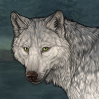 Wolf Headshot