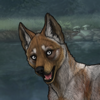 Zangar dog Headshot