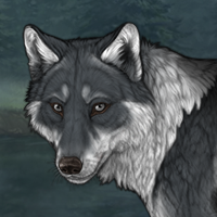 Wolf Headshot