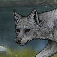 Silverfang Headshot