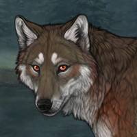 Foxen Bark Headshot