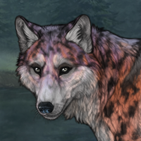 Speckled ' Dawn Headshot